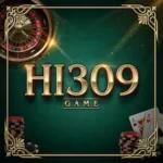 Hi309 Game