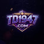 TD11947 Game
